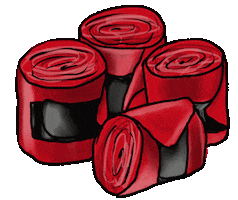 Animated Sticker