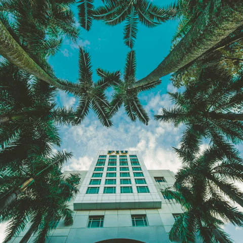 Florida International University College GIF by FIU