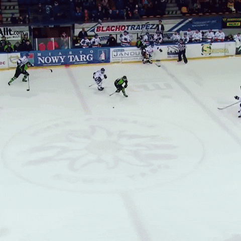 Hockey Hokej GIF by GKS Katowice