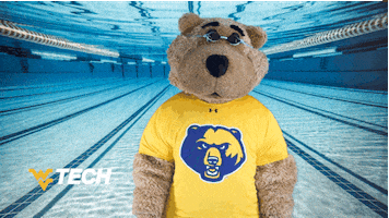 West Virginia Swimming GIF by WVU Tech Golden Bears