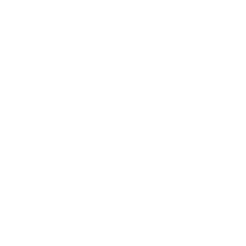 Dunedin Fringe Festival Sticker