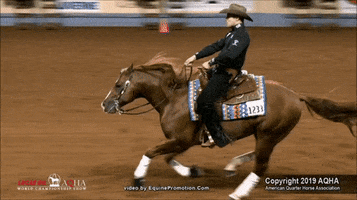 Nrha Reining GIF by Silver Spurs Equine