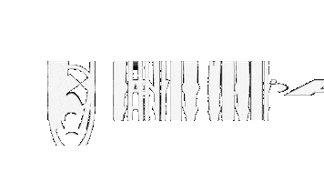 Samsara Sticker by danilo secli