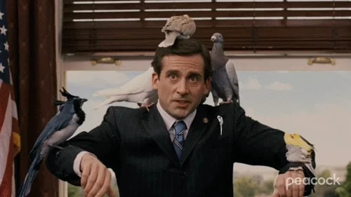 Steve Carrell Thumbs Up GIF by PeacockTV