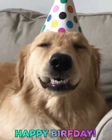 rock FALSE dôsledný happy birthday gif dog Mount Bank po škole remove