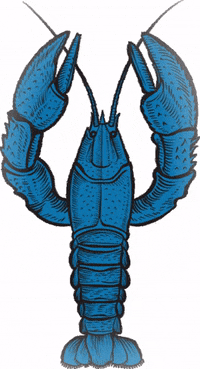 Blue-lobster GIFs - Get the best GIF on GIPHY