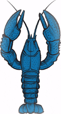 Blue-lobster GIFs - Get the best GIF on GIPHY Blue-lobster GIFs - Get the best GIF on GIPHY