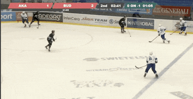 Univerzitní hokej GIF