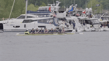 GIF by Washington Athletics