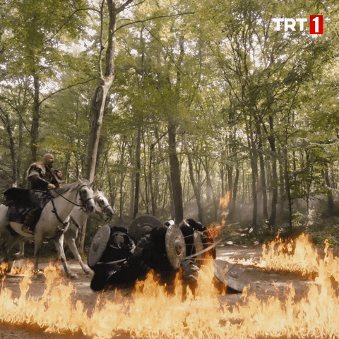War Horse GIF by TRT