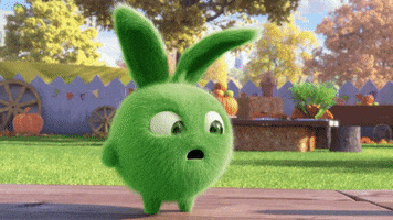 Confused What Now GIF by Sunny Bunnies