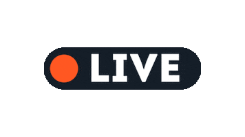 Recordrun Sticker by SportScheck