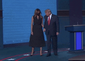 Donald Trump No GIF by Election 2020