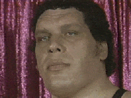 Giphy - andre the giant flirting GIF