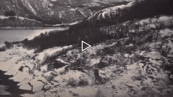 200.gif?cid=fc005b089b677b89a5c62866edba6fad28cc4a3d40ec51cb&rid=200.gif&ct=g