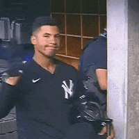 New York Yankees Hello GIF by Jomboy Media