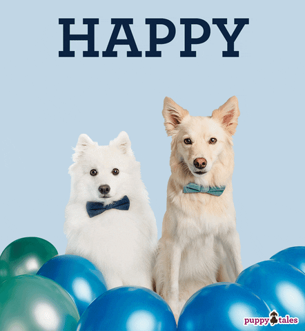 Happy Birthday Doggie GIF by puppytales
