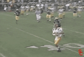 Fight On Rose Bowl GIF by USC Trojans