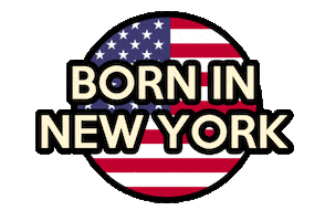 Usa Sticker