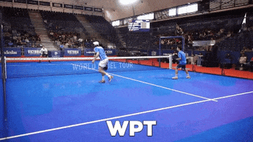 Wpt GIF