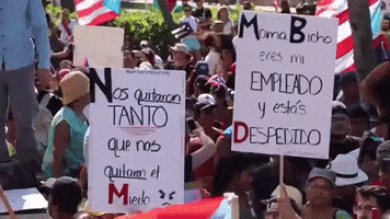 news puerto rico bad bunny protests residente GIF
