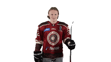 HK MŠK Žiar nad Hronom Sticker