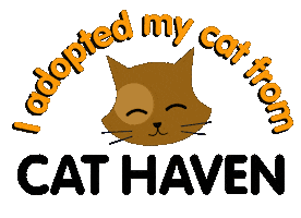 Cats Sticker by Cat Haven WA