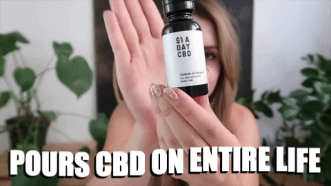 Cbd Oil Cannabis GIF by Dollar-a-Day CBD - Find & Share on GIPHY