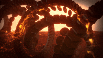 Loop Fire GIF by xponentialdesign
