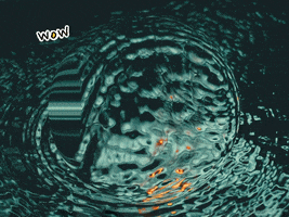 200.gif?cid=fc005b08345a9d75289de18894ab819ff1a23655416d2c7e&rid=200.gif&ct=g
