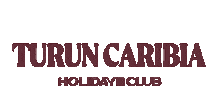 Turku Sticker by Holiday Club