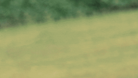 giphy.gif?cid=2154d3d7sd2dj6zpv8xbkat795