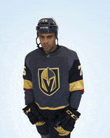 Ice Hockey Sport GIF by Southern Nevada Water Authority