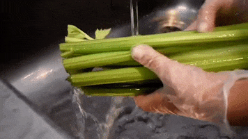 200.gif?cid=fc005b084da50e40d5750183f22fab75a3e27fe10188f828&rid=200.gif&ct=g