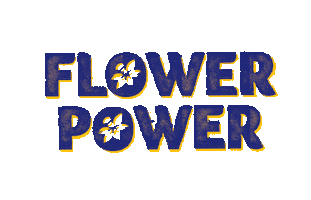 Daffodilday Cancercouncil Sticker by cancervic