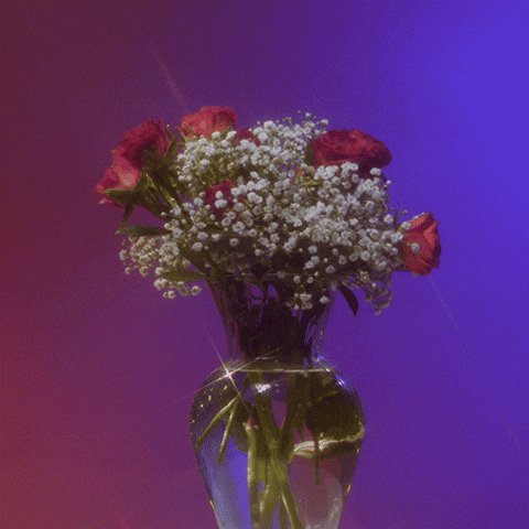 Flowers Roses GIF by Alie jackson