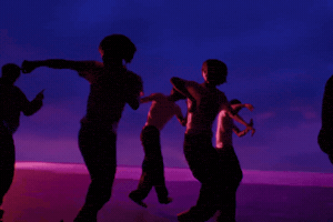 Fly GIF by IDID