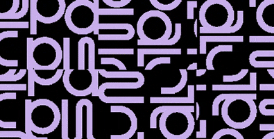 Paluma Festival GIF