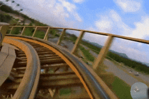 napatsorn  GIF
