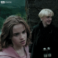 Harry Potter Yes GIF by Sky