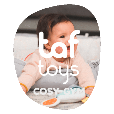 Taf Toys Sticker