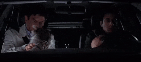 Racoon GIF