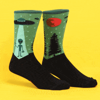 Socks GIF by Newbury Comics