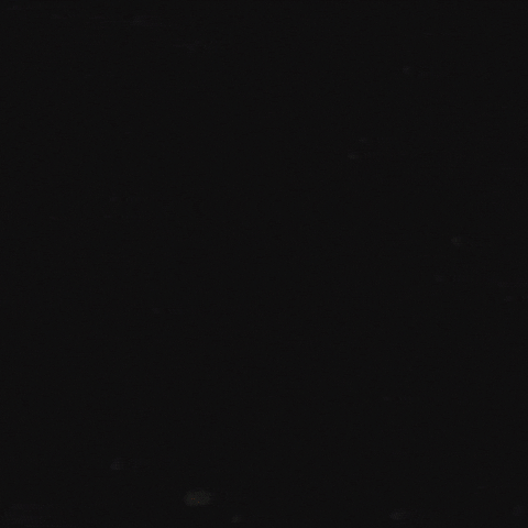 Ball Wow GIF by geoffjkim