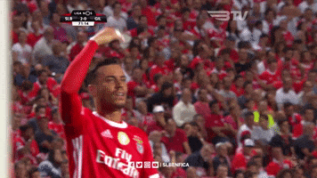 Waving Sl Benfica GIF by Sport Lisboa e Benfica