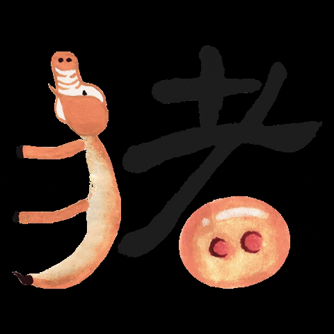 Pig Zodiac GIFs - Find & Share on GIPHY