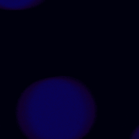 Wicked Game GIF by ministryofsound_giphy