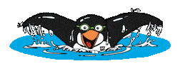 Phillip Island Swimming Sticker by CYC Christian Youth Camps