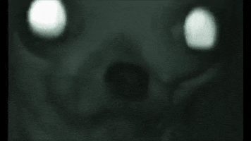 era  GIF