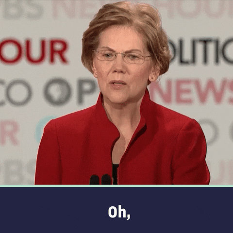 Explain Election 2020 GIF by Elizabeth Warren